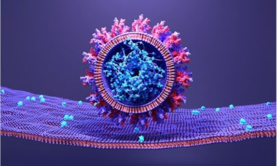 Article feature image