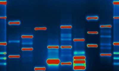 Article feature image