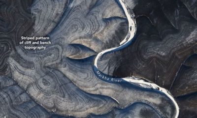 Article feature image