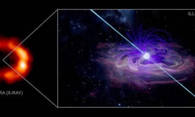 Article feature image