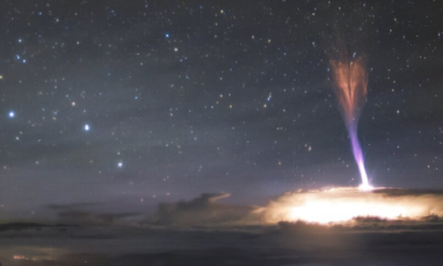 Article feature image