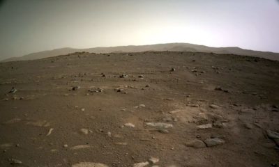 Article feature image