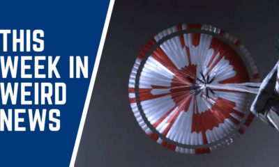 Article feature image