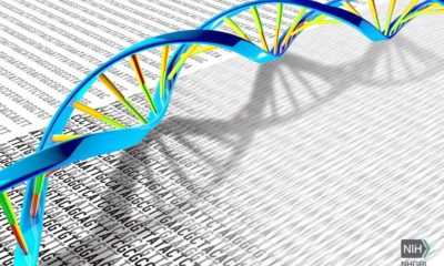 Article feature image