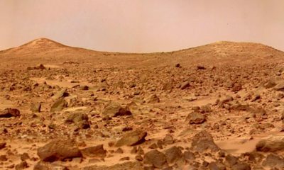 Article feature image