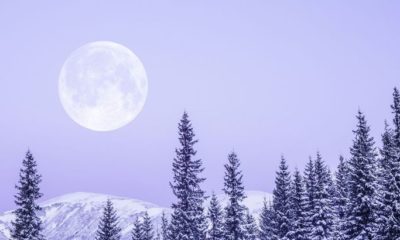 Article feature image