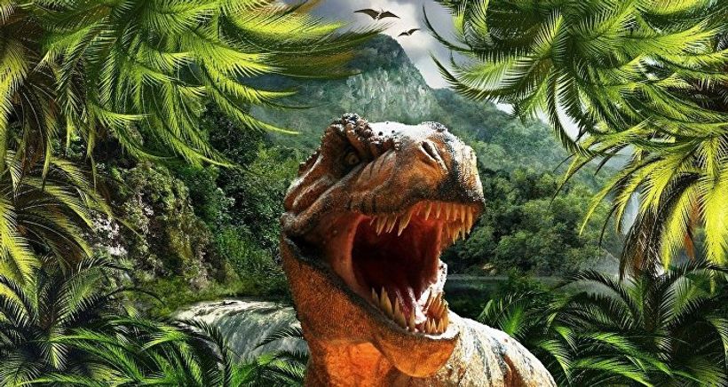 Article feature image