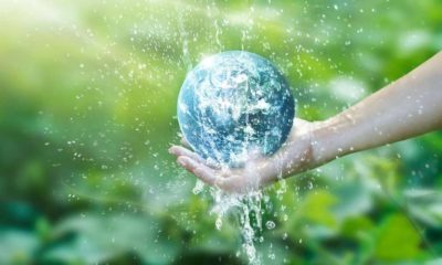 Article feature image