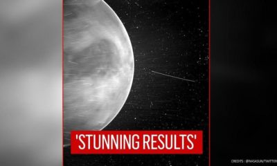 Article feature image