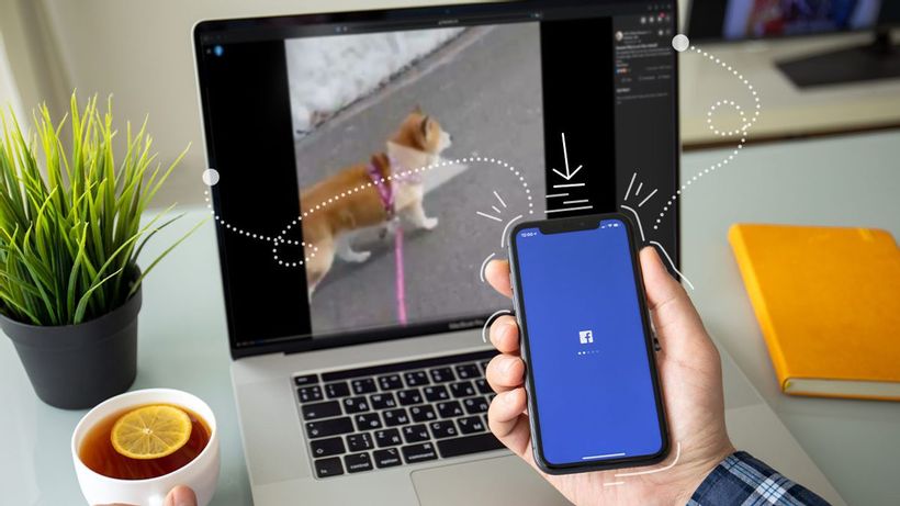 Article feature image
