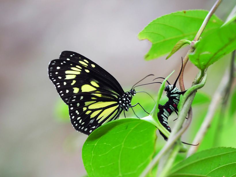 Article feature image