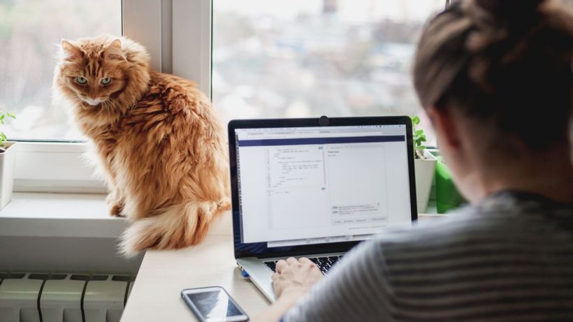 Article feature image