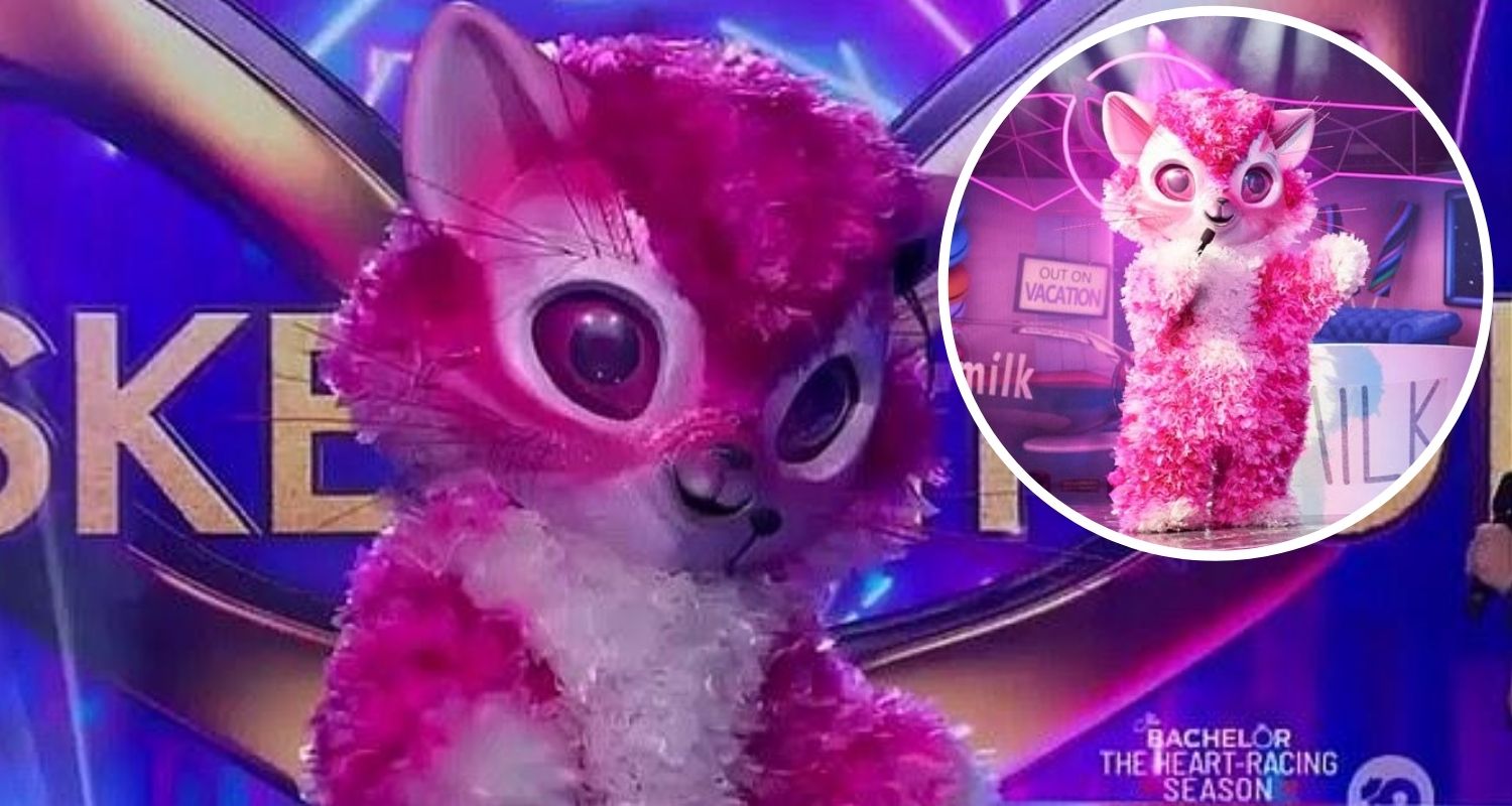 The Masked Singer Australia 2020: Who is Kitten? - New ...