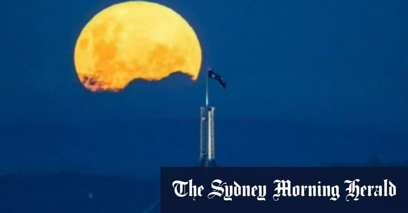 Article feature image