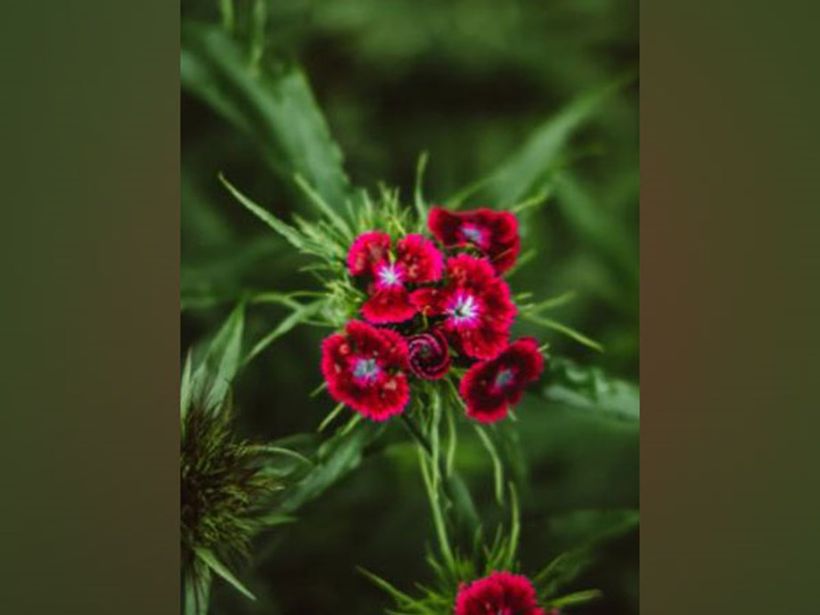 Article feature image