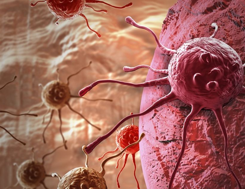 Article feature image
