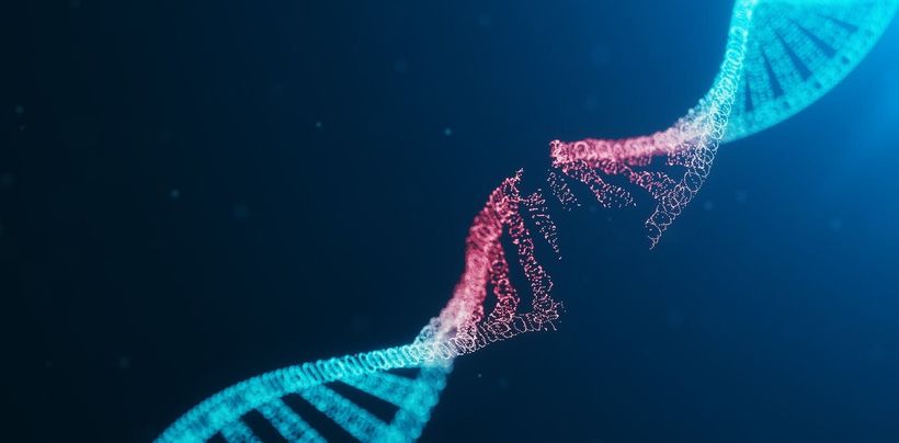 Article feature image