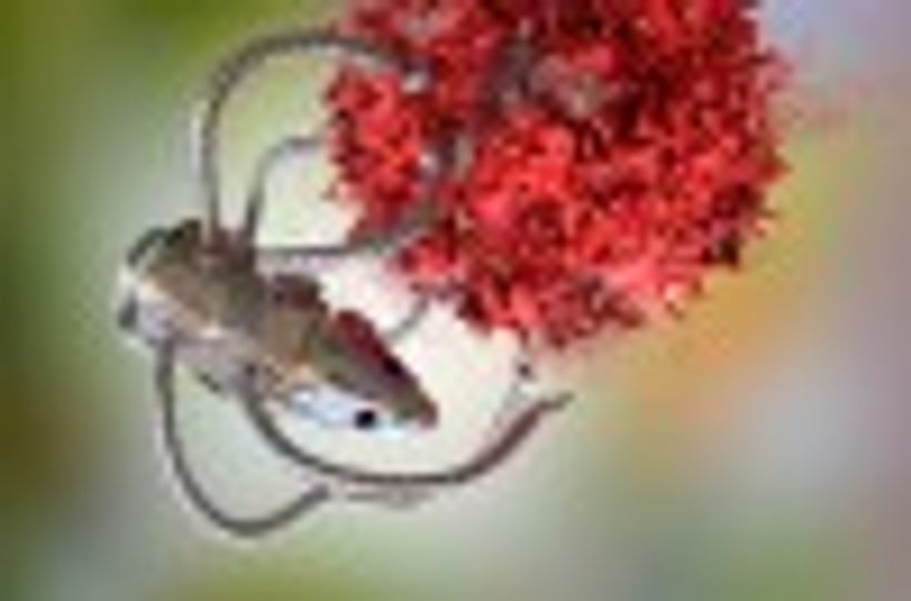 Article feature image