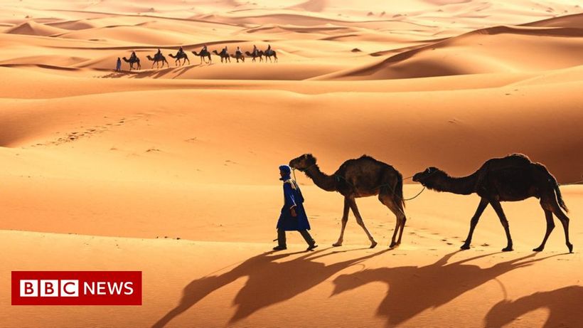 Article feature image