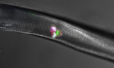 Article feature image