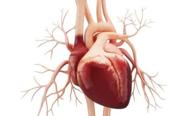 Article feature image