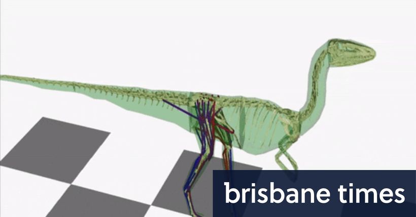 Article feature image