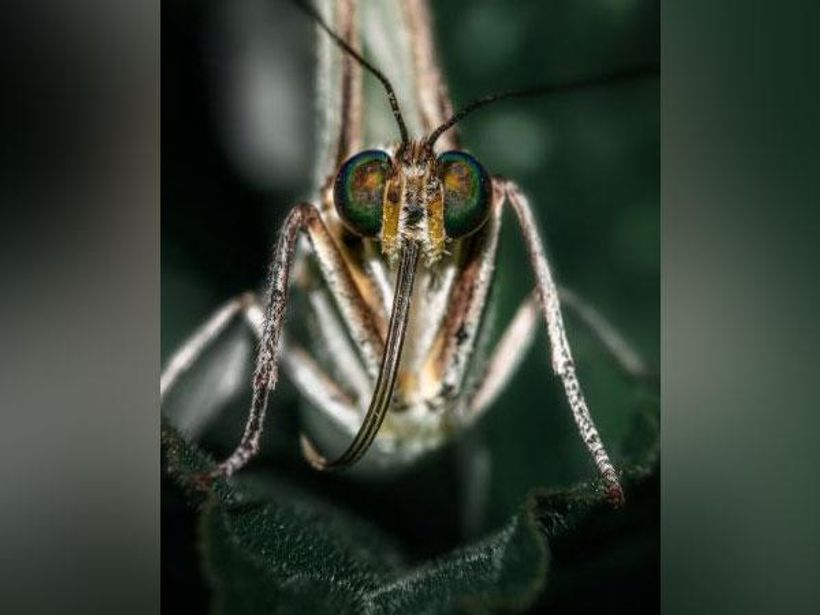 Article feature image