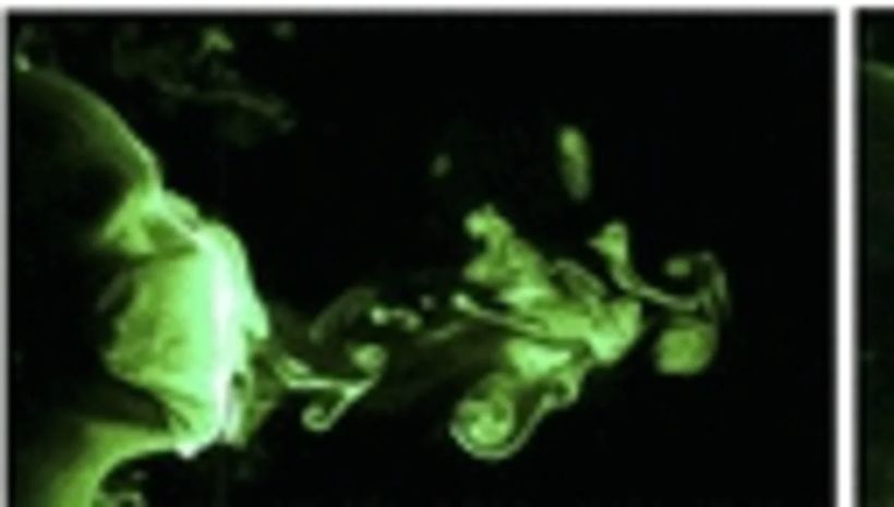 Article feature image