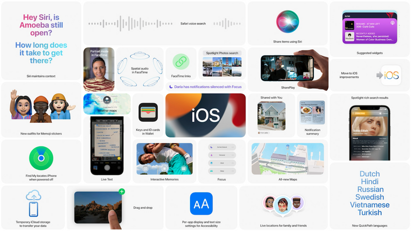 Article feature image