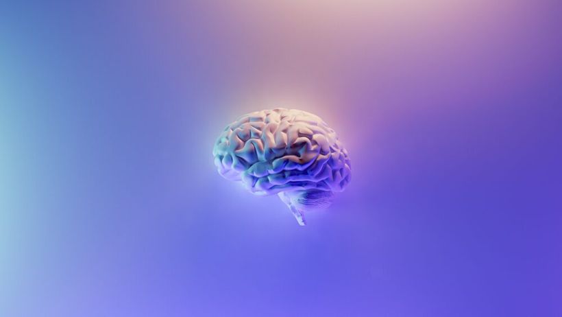 Article feature image