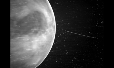 Article feature image