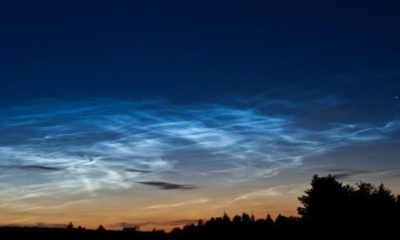 Article feature image