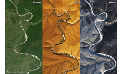 Article feature image