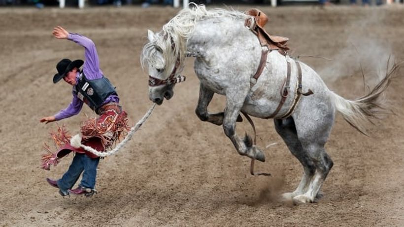 Article feature image