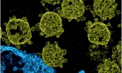 Article feature image