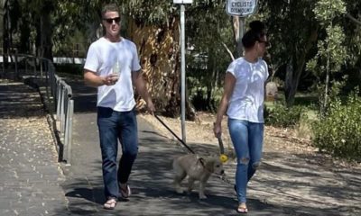 Article feature image