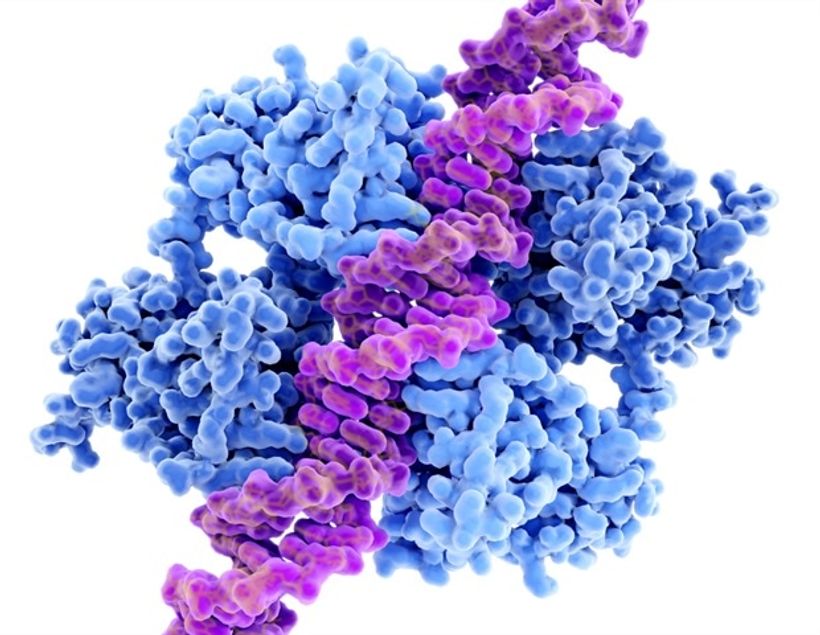 Article feature image