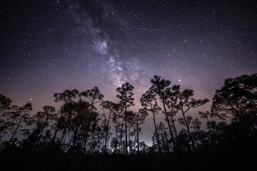 Article feature image