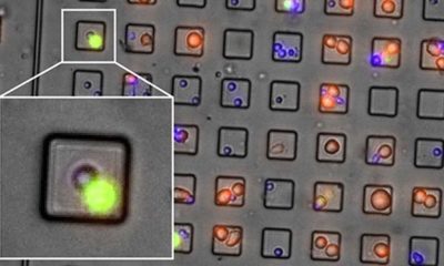 Article feature image