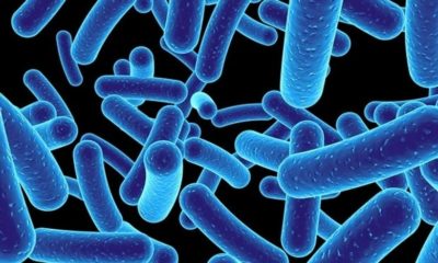 Article feature image