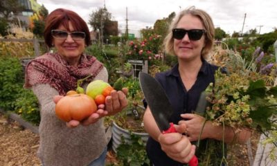 Article feature image