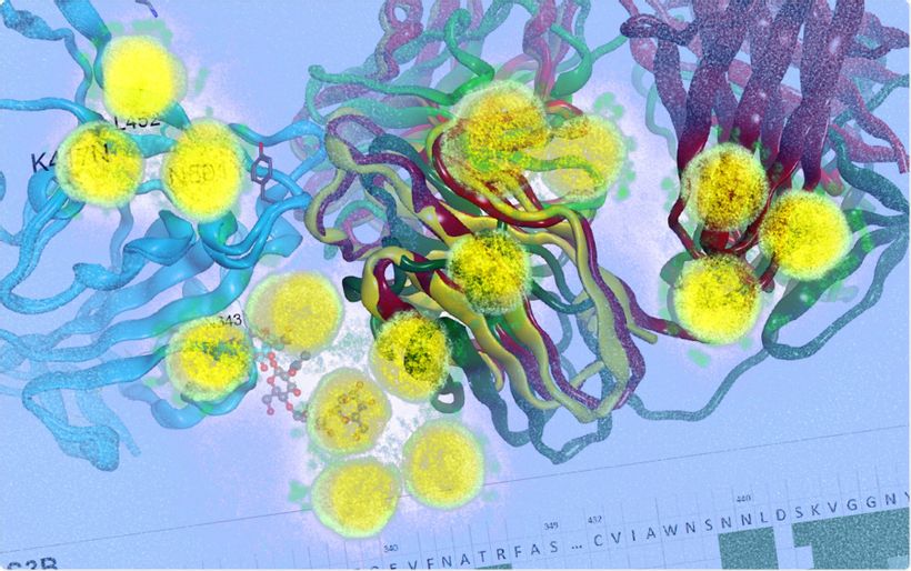 Article feature image