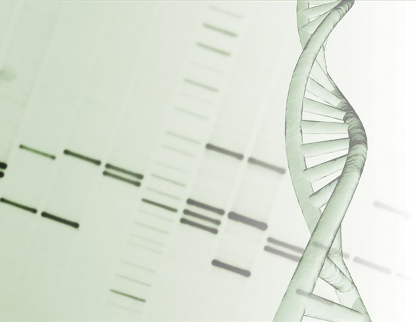Article feature image