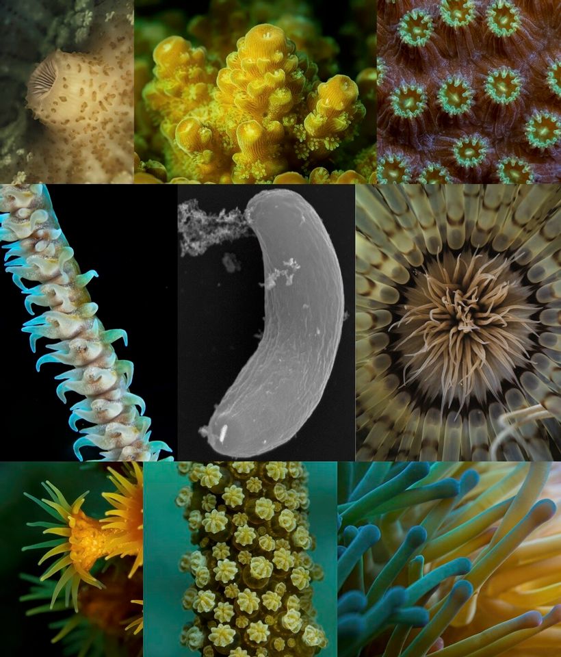 Article feature image