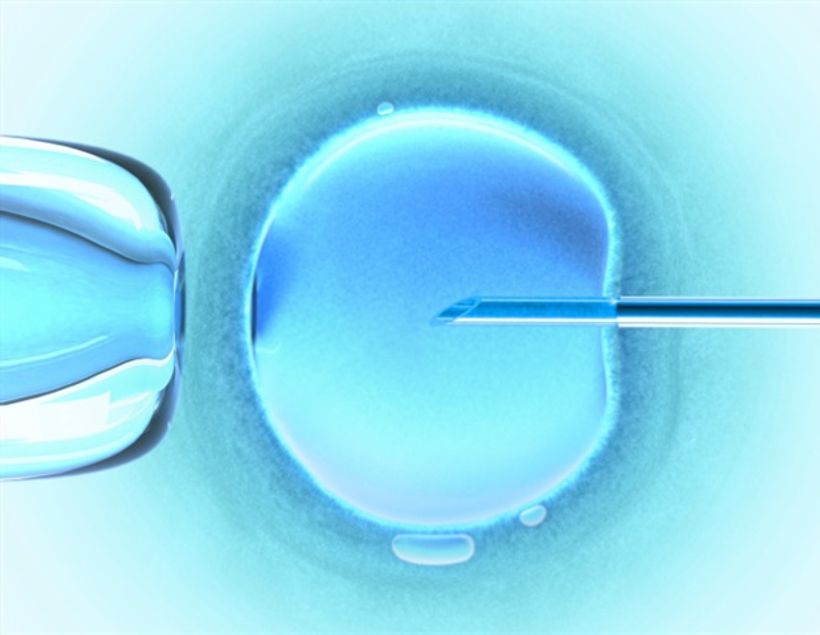 Article feature image