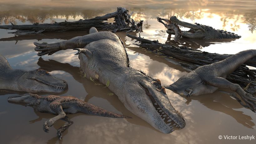 Article feature image