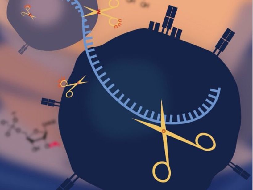 Article feature image