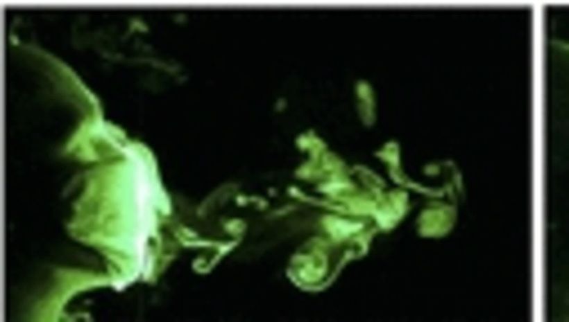 Article feature image