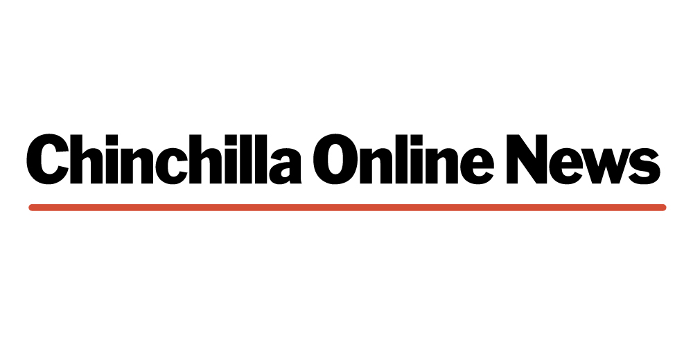Chinchilla Online News