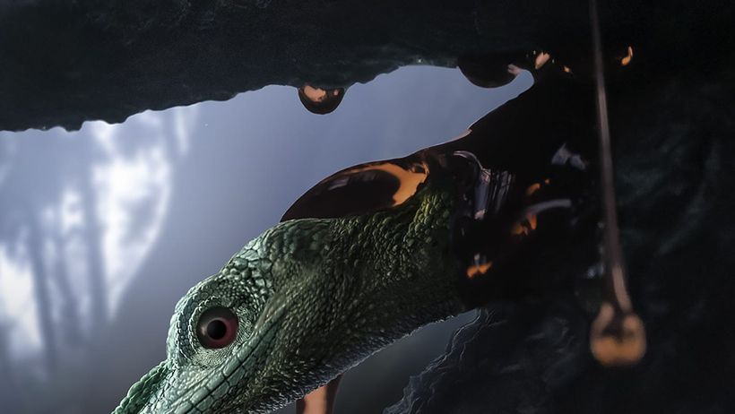 Article feature image